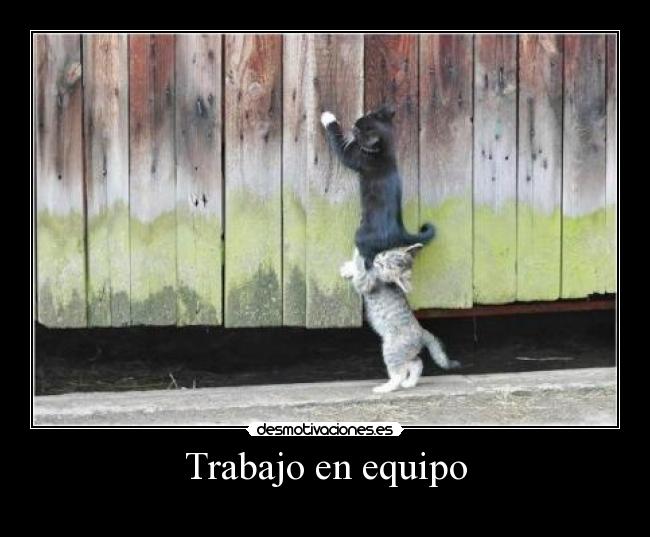 Trabajo en equipo -