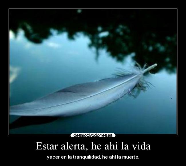 carteles vida oscar wilde desmotivaciones