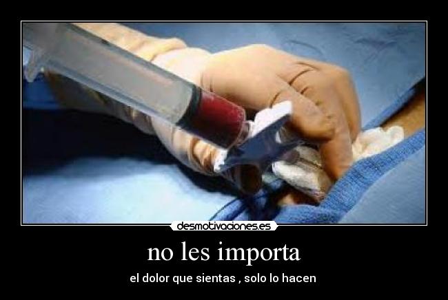 no les importa -