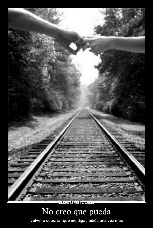 No creo que pueda - volver a soportar que me digas adiós una vez mas