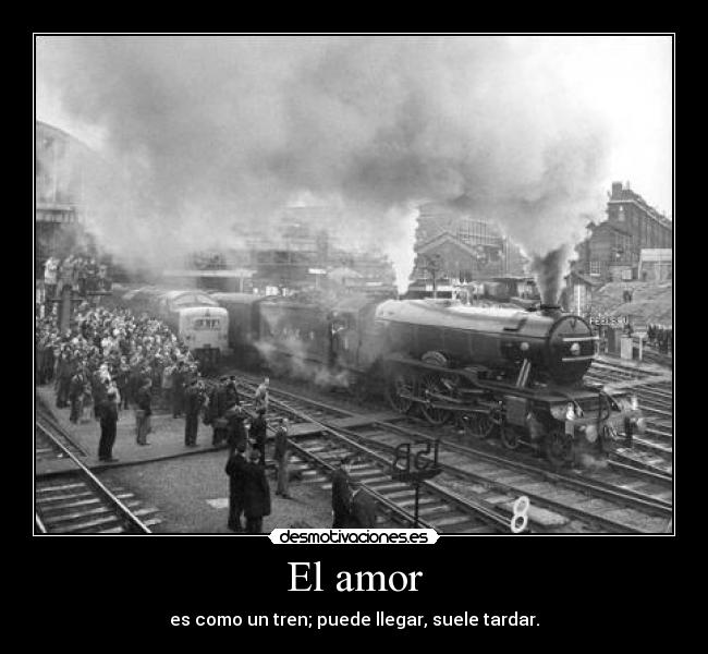 El amor -