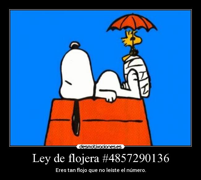 Ley de flojera #4857290136 -