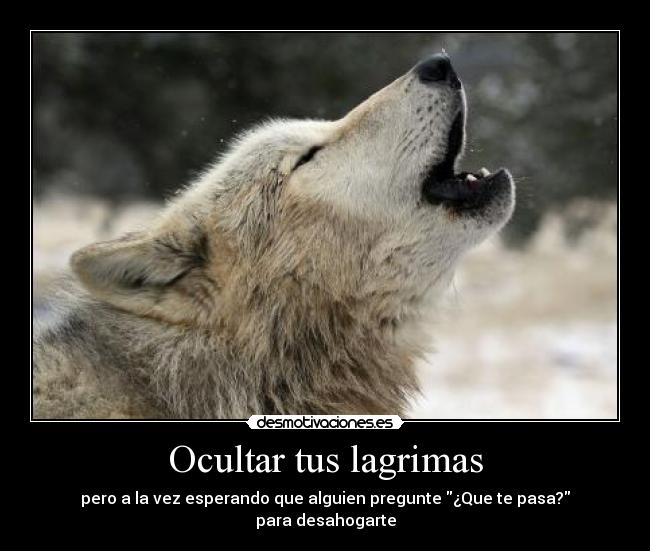 Ocultar tus lagrimas -