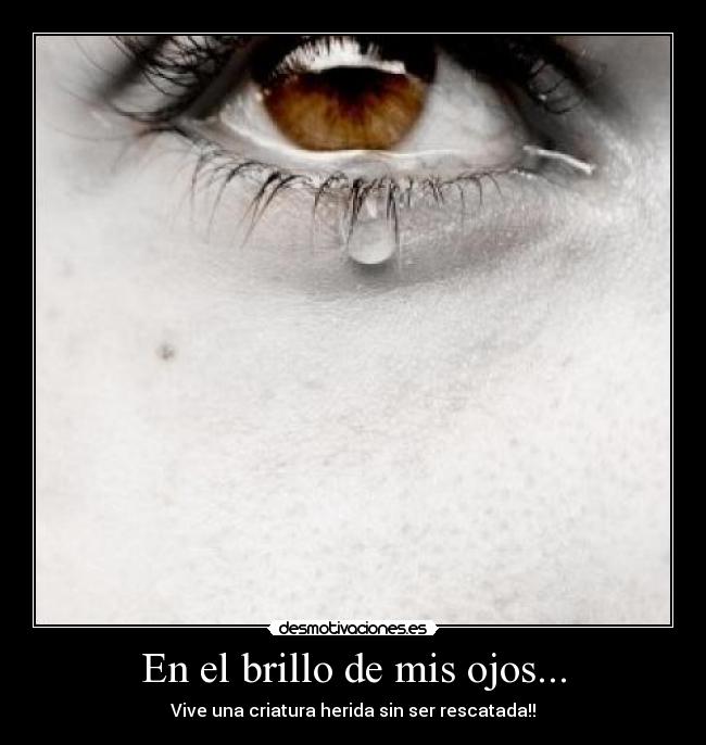 En el brillo de mis ojos... -