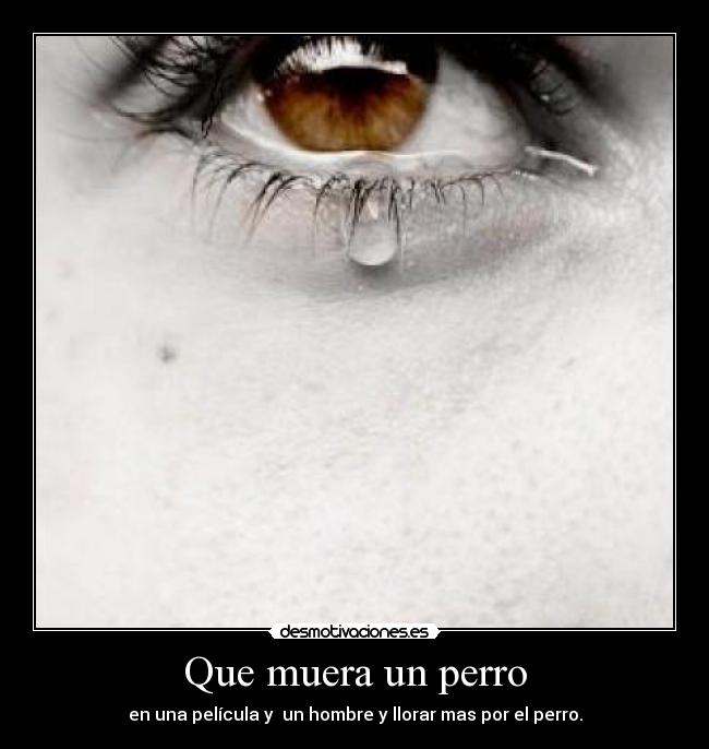 Que muera un perro -