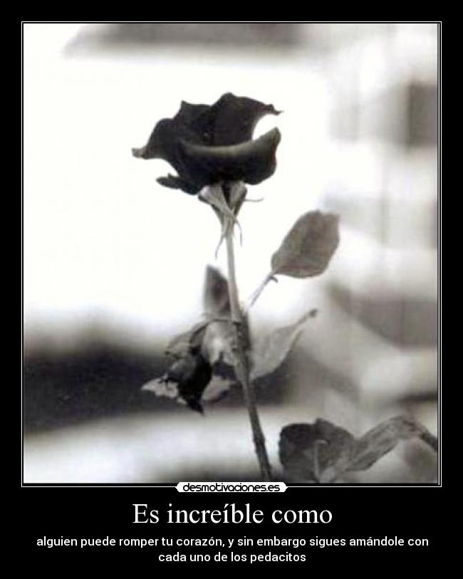 Es increíble como - alguien puede romper tu corazón, y sin embargo sigues amándole con
cada uno de los pedacitos