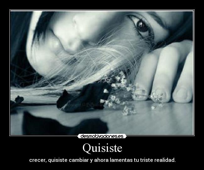 Quisiste - 