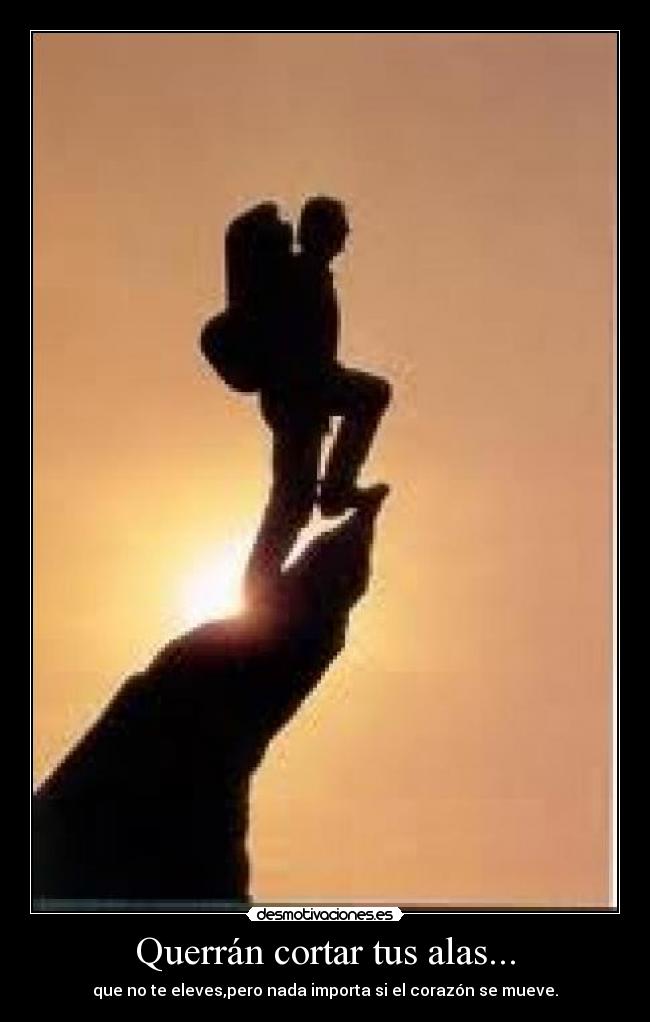 Querrán cortar tus alas... - 