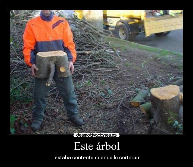 Este árbol - 