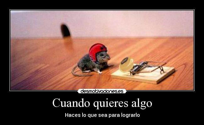 carteles querer poder ugdwjldhasj desmotivaciones