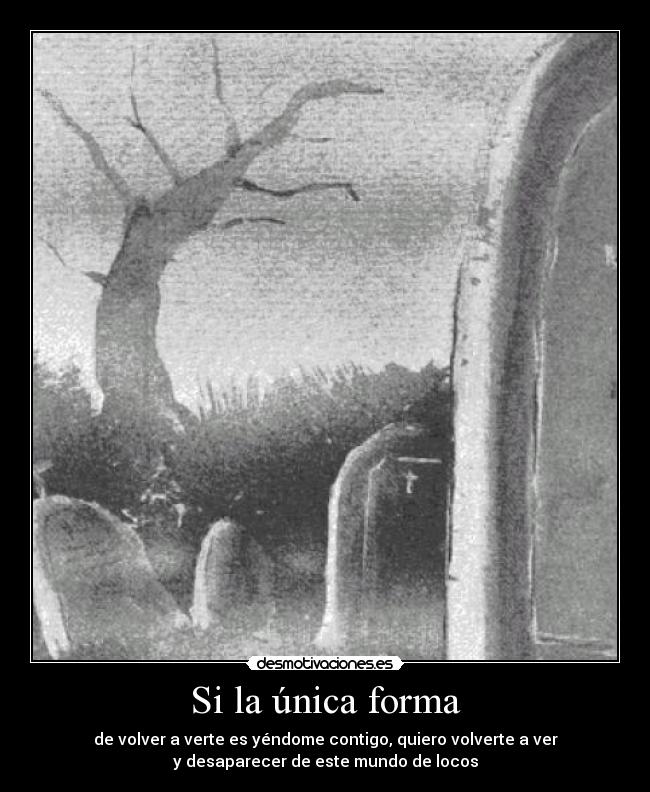 Si la única forma - de volver a verte es yéndome contigo, quiero volverte a ver
y desaparecer de este mundo de locos