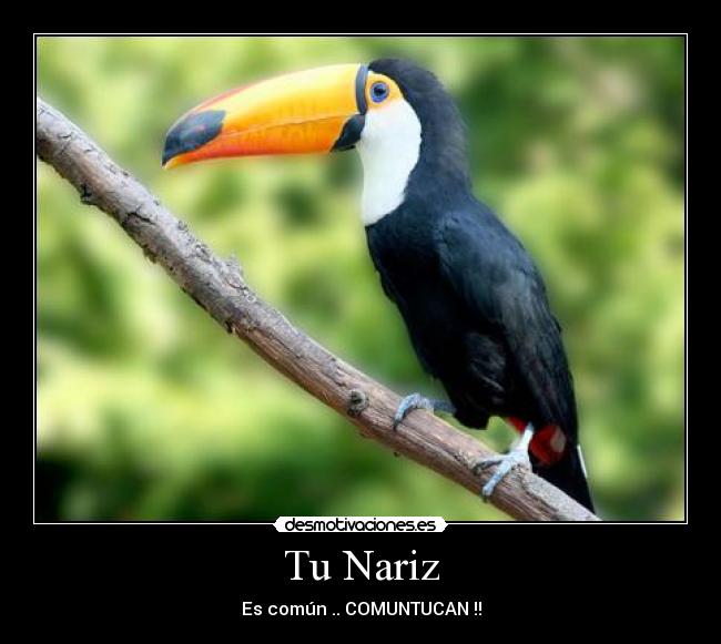 Tu Nariz - Es común .. COMUNTUCAN !!