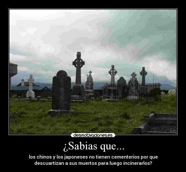 ¿Sabias que... -
