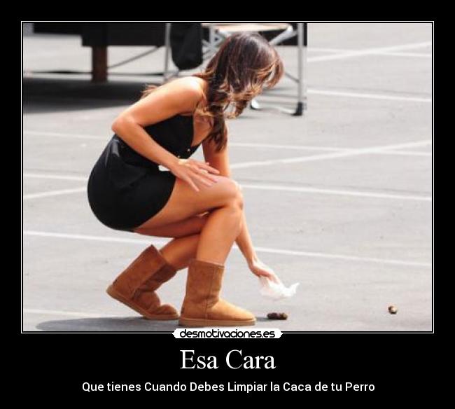 Esa Cara - Que tienes Cuando Debes Limpiar la Caca de tu Perro