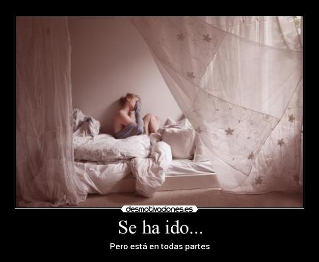 Se ha ido... - Pero está en todas partes