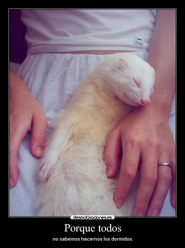Porque todos - no sabemos hacernos los dormidos.
