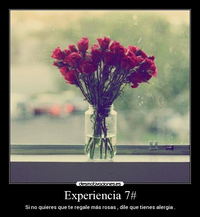 Experiencia 7# - Si no quieres que te regale más rosas , dile que tienes alergia .