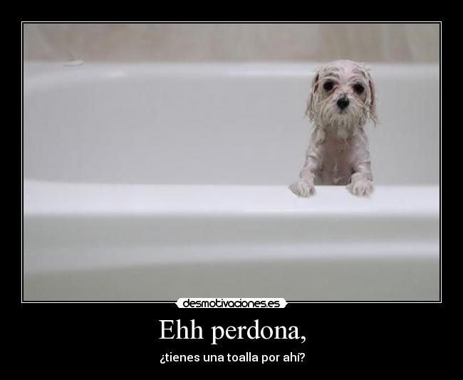 Ehh perdona, - ¿tienes una toalla por ahí?