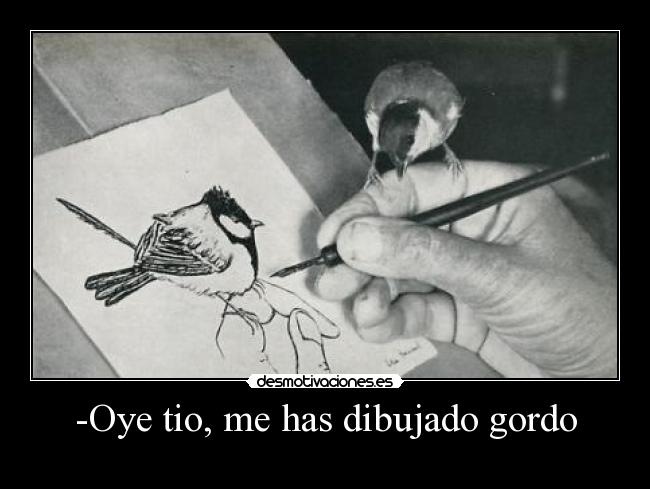 -Oye tio, me has dibujado gordo -