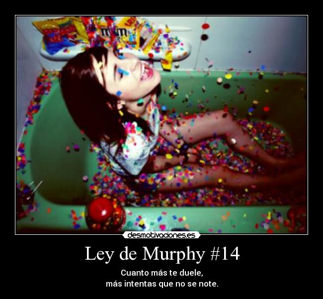 Ley de Murphy #14 -