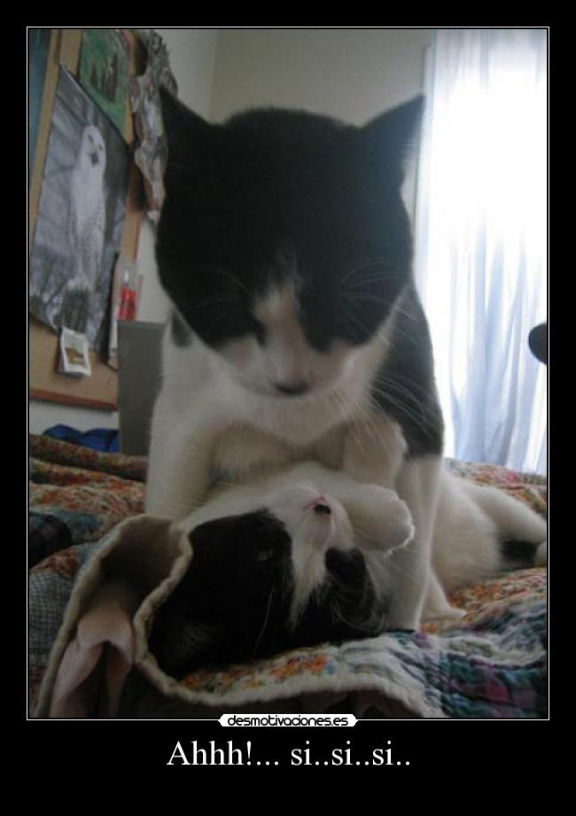 carteles xdddddddddddddddddddddd desmotivaciones