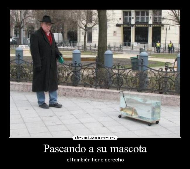 Paseando a su mascota - el también tiene derecho