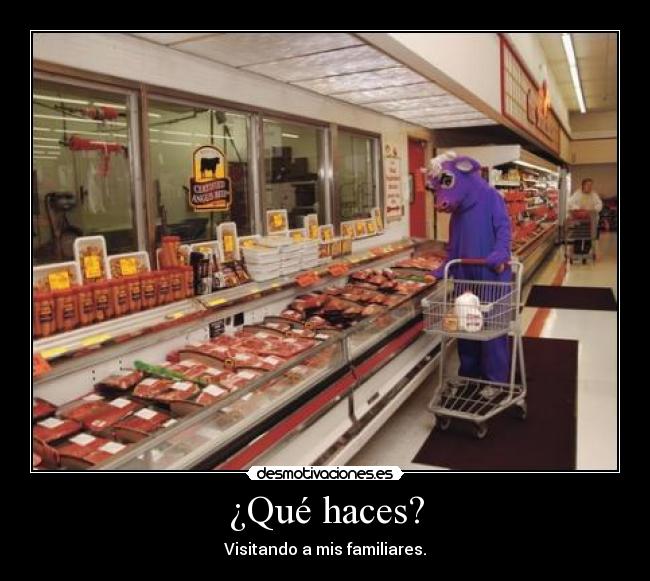 carteles vaquita bunny desmotivaciones