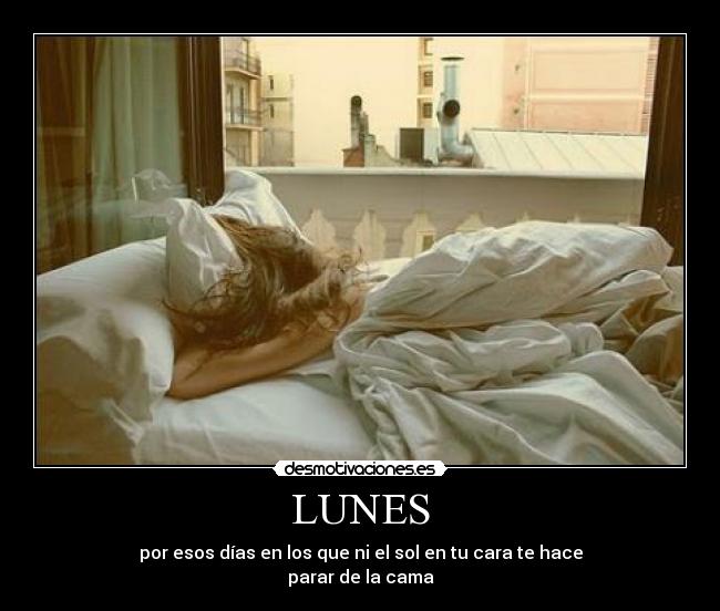 LUNES -
