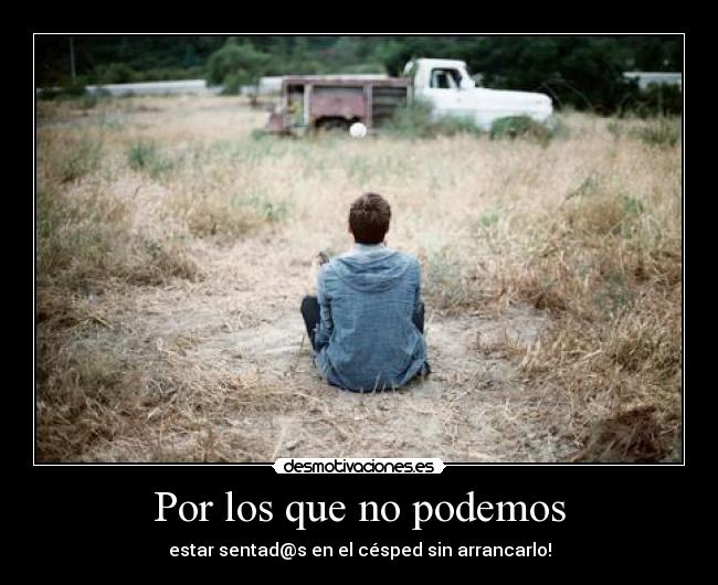 carteles cesped desmotivaciones