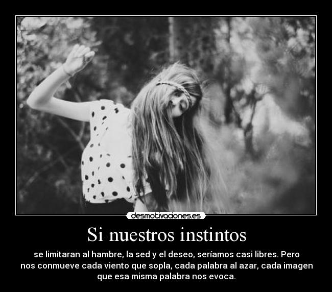carteles instinto desmotivaciones