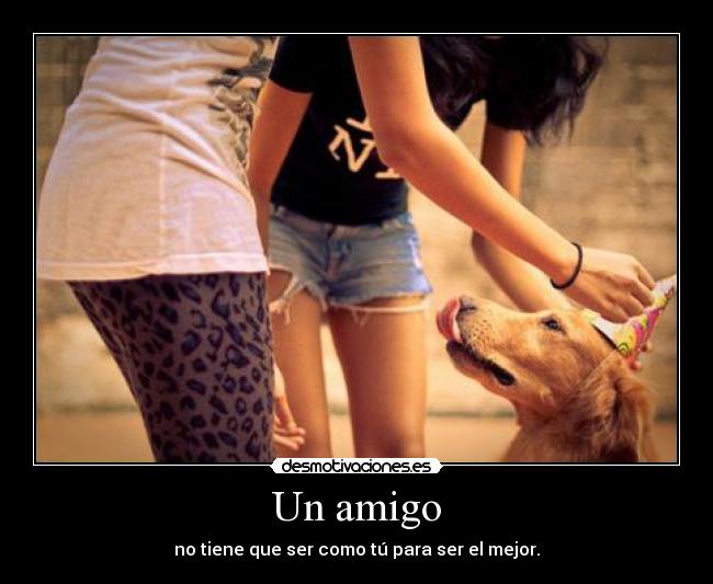 carteles resubido cartel dedicado bulma272 por quedarse desmo gracias adricomecocos clanvirus desmotivaciones