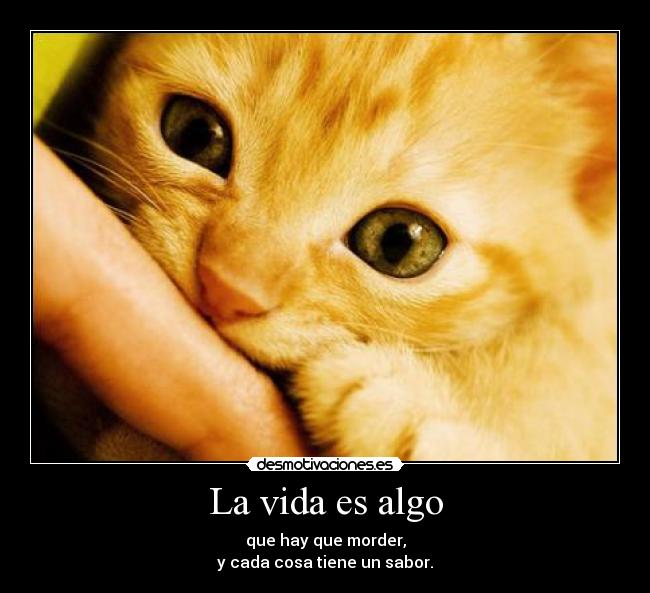 La vida es algo - que hay que morder,
y cada cosa tiene un sabor.