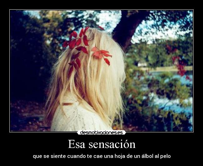 Esa sensación - que se siente cuando te cae una hoja de un álbol al pelo
