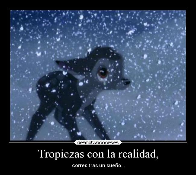 Tropiezas con la realidad, - corres tras un sueño...