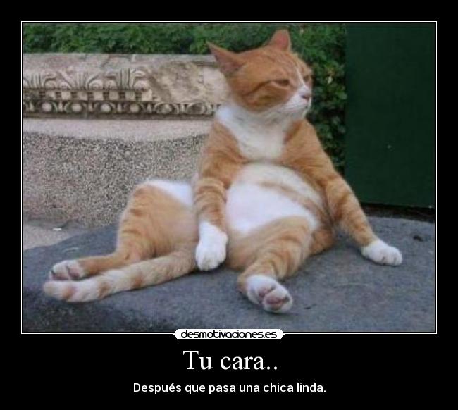 carteles xdddddddddddddddddddddddddddddddddddd desmotivaciones