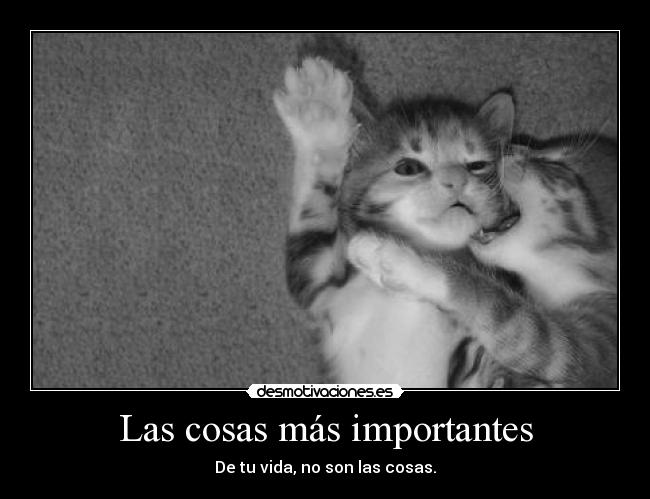 Las cosas más importantes - De tu vida, no son las cosas.