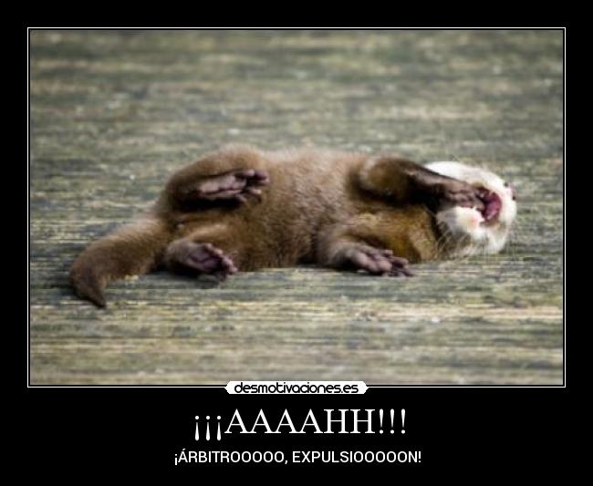 ¡¡¡AAAAHH!!! - 