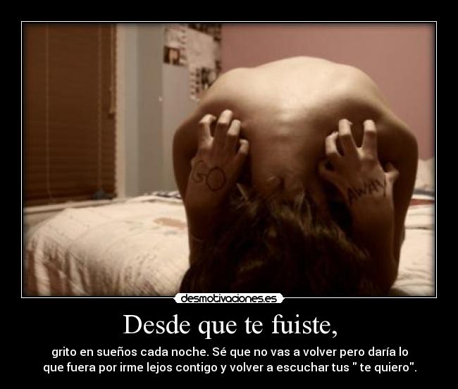 carteles desde que fuiste grito suenos away desmotivaciones