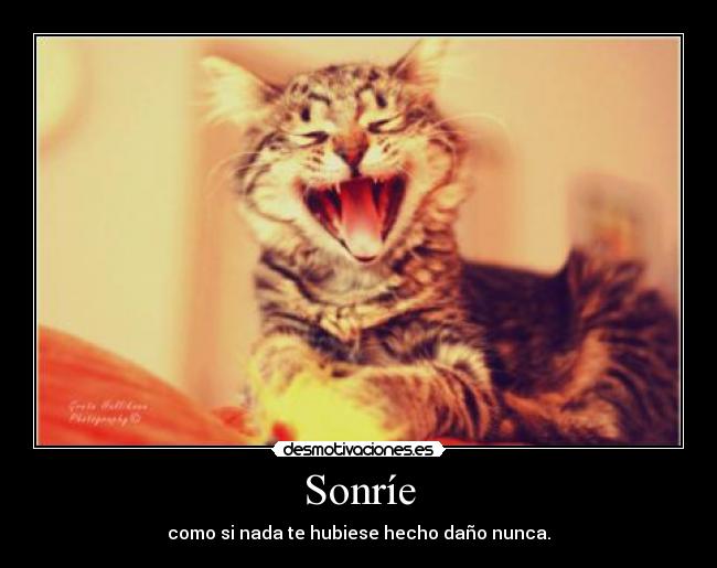Sonríe - 