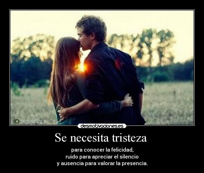 Se necesita tristeza - para conocer la felicidad,
ruido para apreciar el silencio
y ausencia para valorar la presencia.