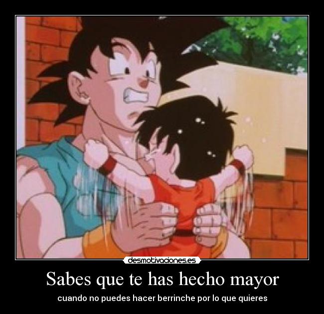 Sabes que te has hecho mayor - 