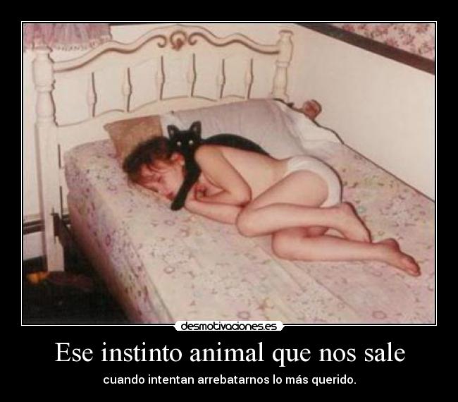 Ese instinto animal que nos sale - 