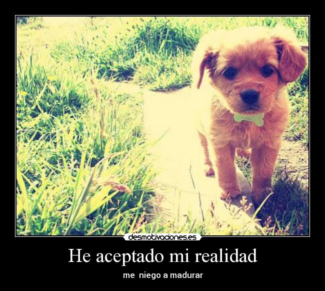 He aceptado mi realidad -