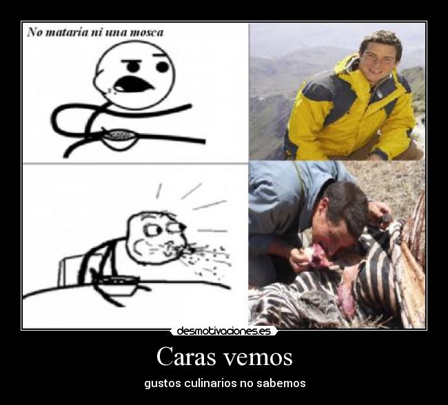 carteles cereal guy bear gylss cebra salvaje sorpresa desmotivaciones