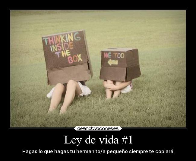 Ley de vida #1 -