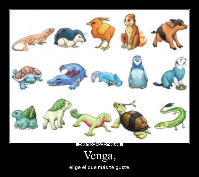 Venga, - elige el que más te guste.