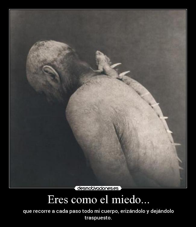 Eres como el miedo... - que recorre a cada paso todo mi cuerpo, erizándolo y dejándolo traspuesto.