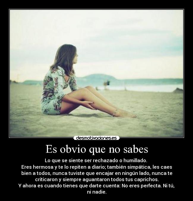 Es obvio que no sabes - Lo que se siente ser rechazado o humillado.
Eres hermosa y te lo repiten a diario; también simpática, les caes
bien a todos, nunca tuviste que encajar en ningún lado, nunca te
criticaron y siempre aguantaron todos tus caprichos.
Y ahora es cuando tienes que darte cuenta: No eres perfecta. Ni tú,
ni nadie.