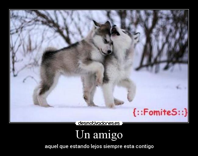 carteles clanvirus desmofamily lobito miooo este por eres hostia tia xddd desmotivaciones