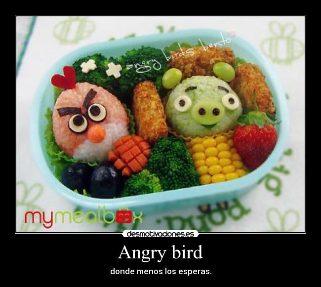 Angry bird -